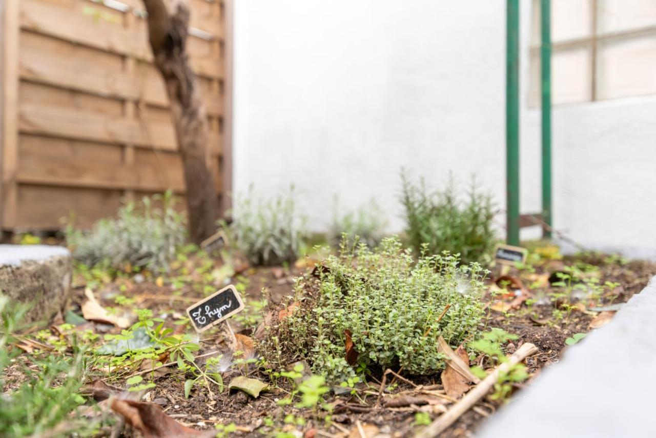 Studio Blancarde Terrasse Parking Clim 마르세유 외부 사진